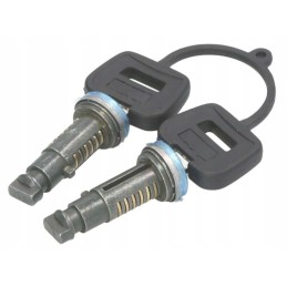 Lock insert door lock daf 95 xf sb xf 105 01 97