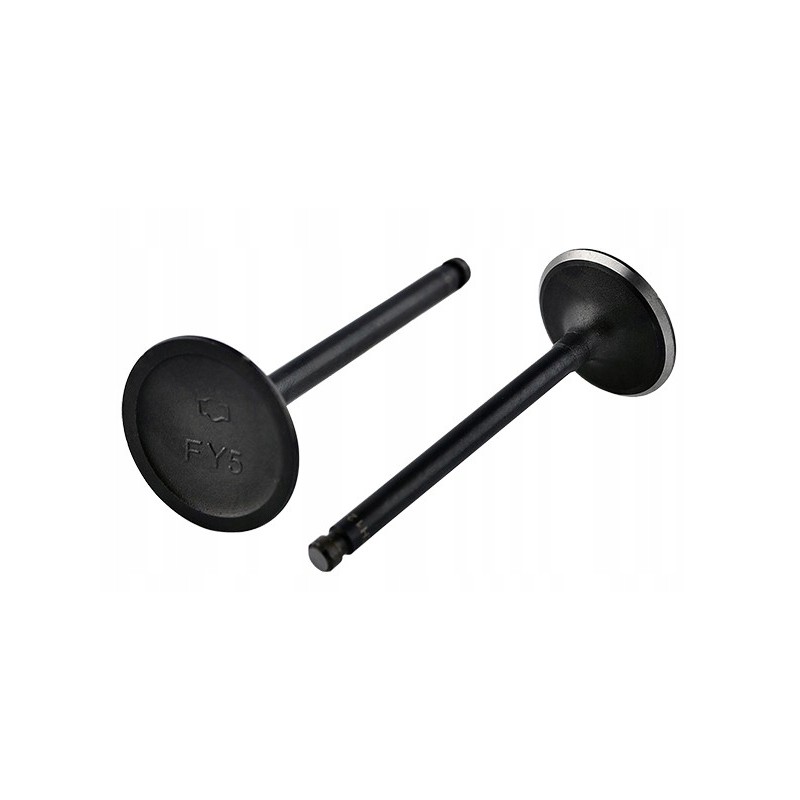 Intake valve nissan komatsu tcm