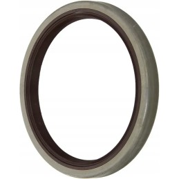 Seal b1vislrs 110x135x13 fkm