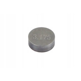 Valves and valve plates 4 ride pz9483175