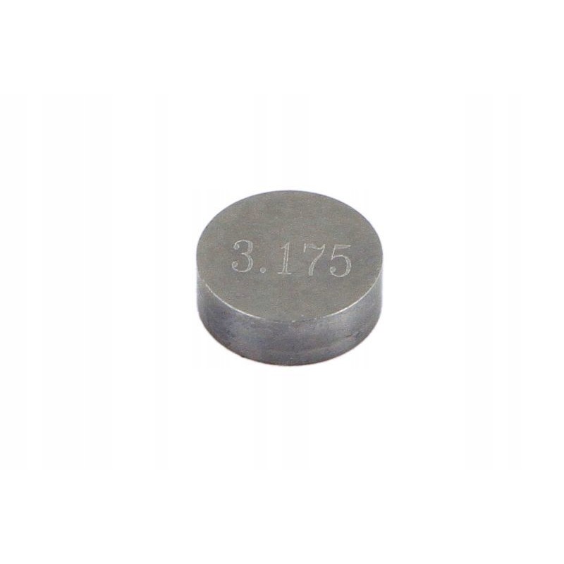 Valves and valve plates 4 ride pz9483175