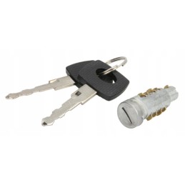 Mercedes Atego 2 door lock insert