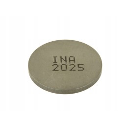 Valves and valve plates 4 ride pz252025