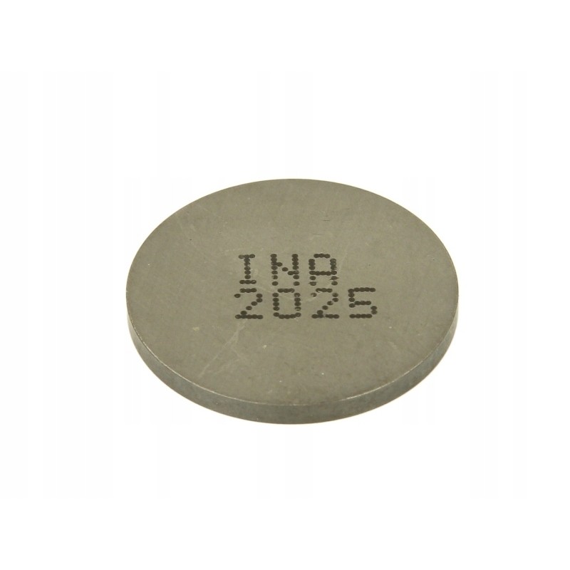 Valves and valve plates 4 ride pz252025