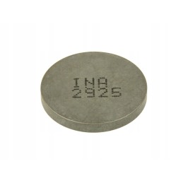 Valves and valve plates 4 ride pz252925