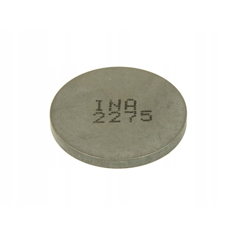 Valves and valve plates 4 ride pz252275