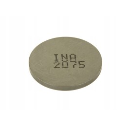 Valves and valve plates 4 ride pz252075