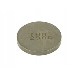 Valves and valve plates 4 ride pz252900