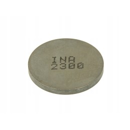 Valves and valve plates 4 ride pz252300