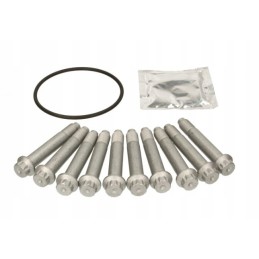 Brake disc mounting screws saf 10 pcs m12