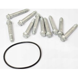 Brake disc mounting screw saf 10 pcs m12