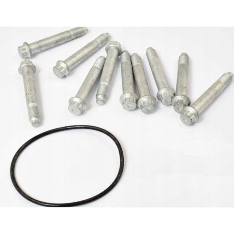 Brake disc mounting screw saf 10 pcs m12