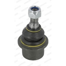 The swing arm pin, front lower front, cone diameter 23-4 mm fits