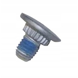 Schmitz Varios SCS Eloxiert door hinge screw