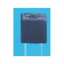 1 pcs : RST 2.5 AMMO - Fuses with Leads - Through Hole