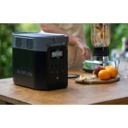 Ecoflow delta 2 portable power station 1024 wh