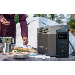 Ecoflow delta 2 portable power station 1024 wh