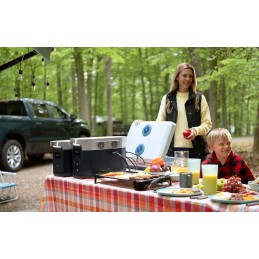 Ecoflow delta max 1600 portable power station