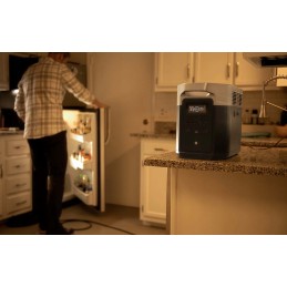 Ecoflow delta max 1600 portable power station