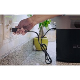 Ecoflow delta max 1600 portable power station