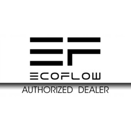 Ecoflow delta max 1600 portable power station