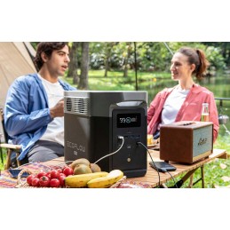 Ecoflow delta max 1600 power station 1612wh