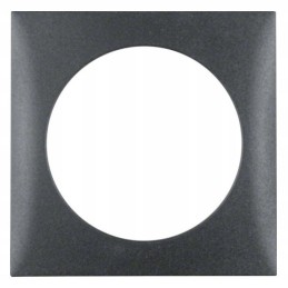 Berker Integro electrical socket housing frame