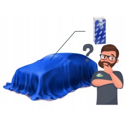 Renault Kangoo Sasic front stabilizer rubber