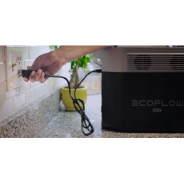 Power storage ecoflow delta max power station