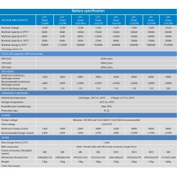 Lithium battery lifepo4 lfp smart 12 8 100 bluetooth