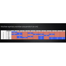 Dunnage air bag very good 0510 50x100 cm