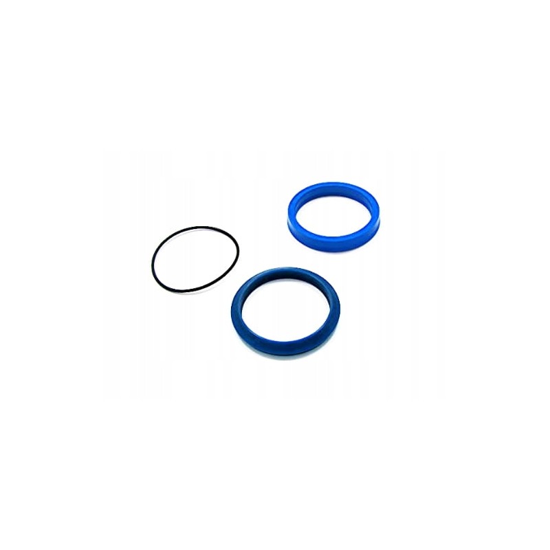 Lift cylinder seal kit 50019279