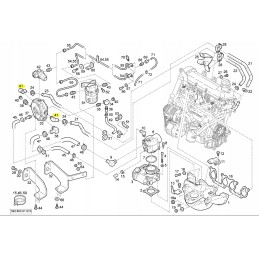 Impco Linde Evaporator Elbow 0009560106