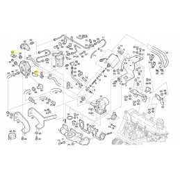 Impco Linde Evaporator Elbow 0009560106