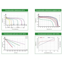 Lifepo4 battery 12v 100ah 150a bluetooth lithium iron phosphate