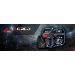 2400w AVR copper generator for a camper