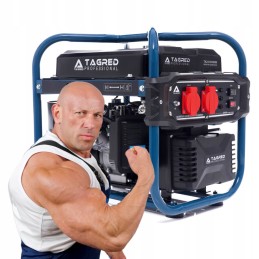 2400w AVR copper generator for a camper