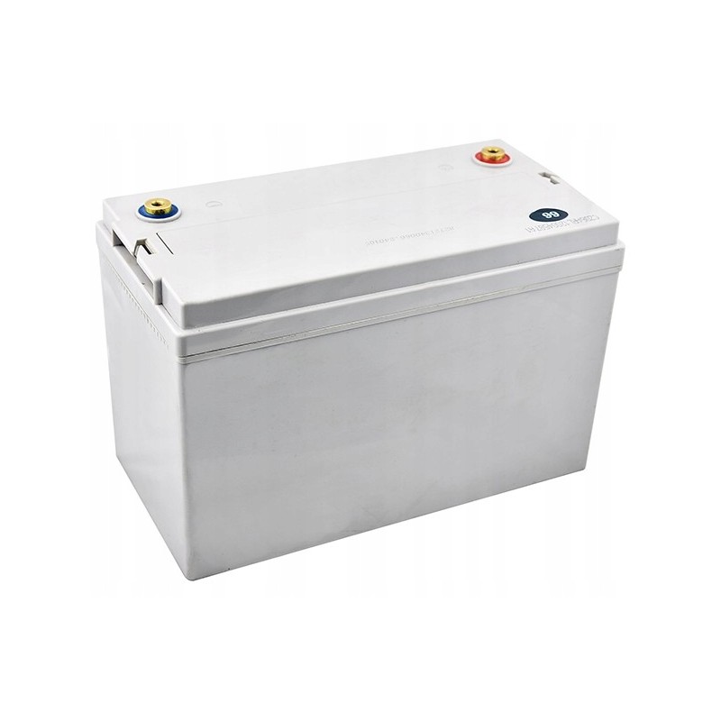 Electric pallet truck battery 12 125 v ah