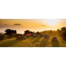 Tent pins, plastic, 30 cm, 5 pcs