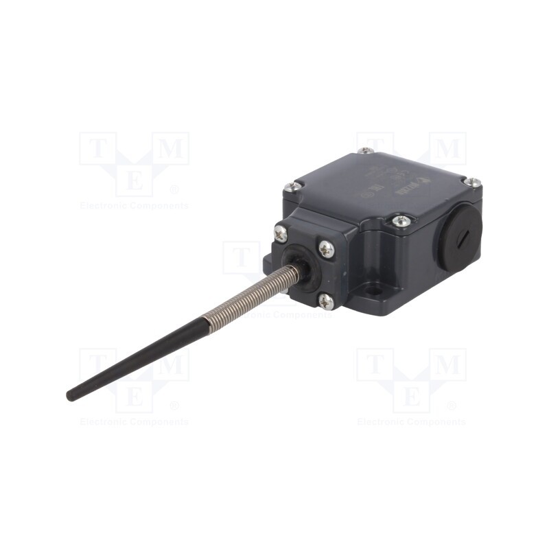 1 pcs x PIZZATO ELETTRICA - FL 520 - Limit switch, rubber seal,spring, total length 101,5mm, 10A