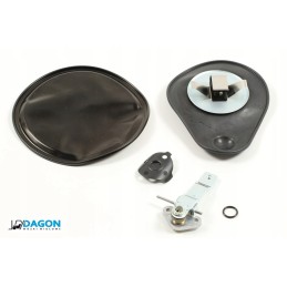 Nissan fuel injection evaporator repair kit