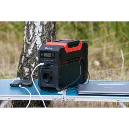 Portable energy storage 230v 750wh panel