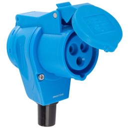 Carbest cee angle plug