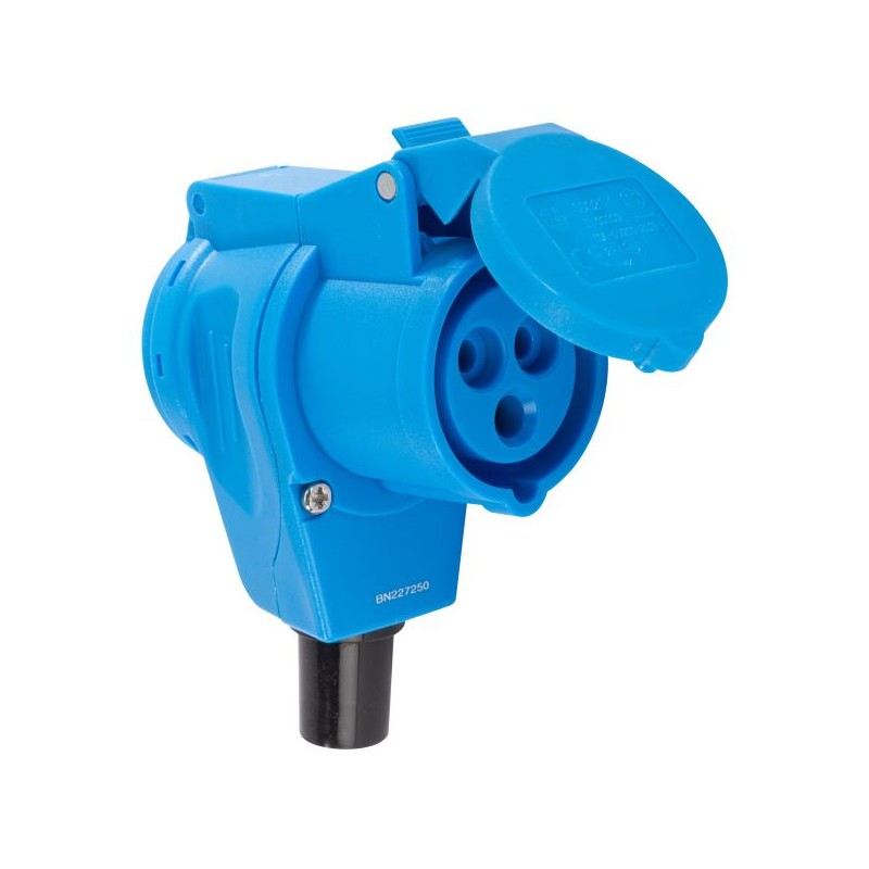 Carbest cee angle plug