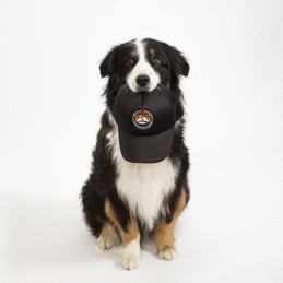 Life is a journey baseball cap