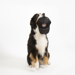 Life is a journey baseball cap