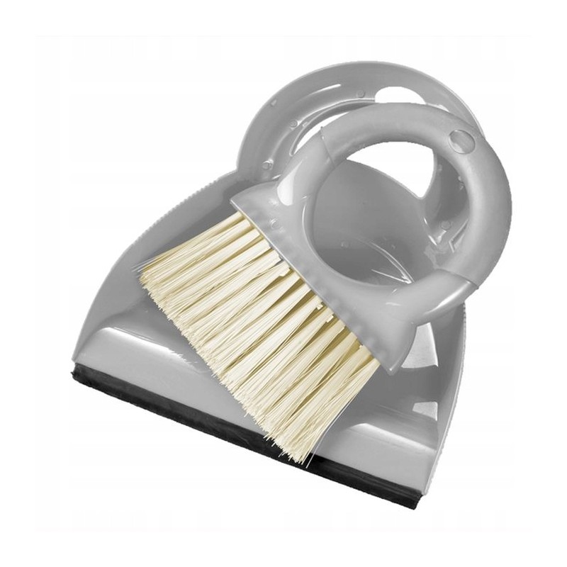 Tidy brush and dustpan
