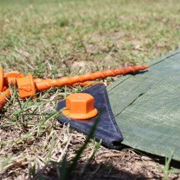 Pegs set of 12 screws 12cm peggy peg