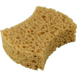 Protecton hq sponge for washing cars, camper trailers