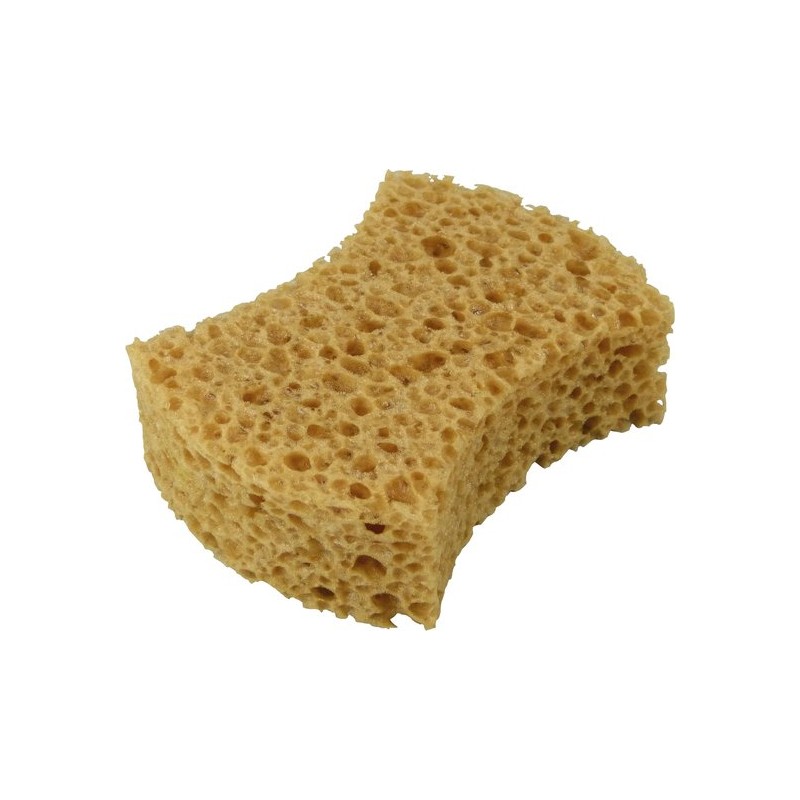 Protecton hq sponge for washing cars, camper trailers